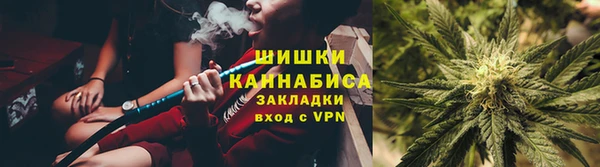амф Богородицк