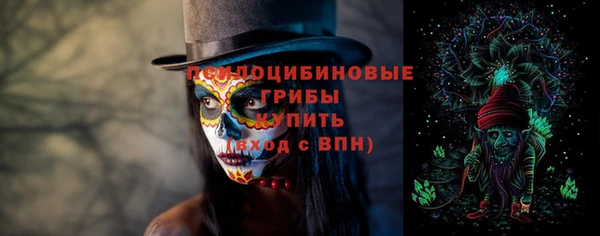 мдма Богородск