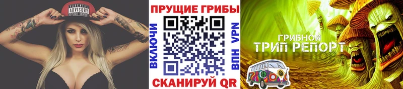 купить закладку  Вихоревка  Псилоцибиновые грибы GOLDEN TEACHER 